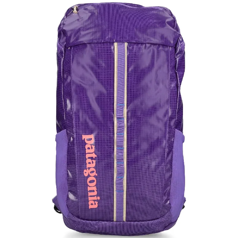 Road bike pouch-Zaino Patagonia Black Hole Pack 25L - Viola